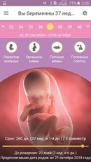 15 неделя беременности это сколько месяцев: что происходит с малышом и мамой, сколько это месяцев, ощущения и развитие на 15 акушерской неделе и 13 от зачатия