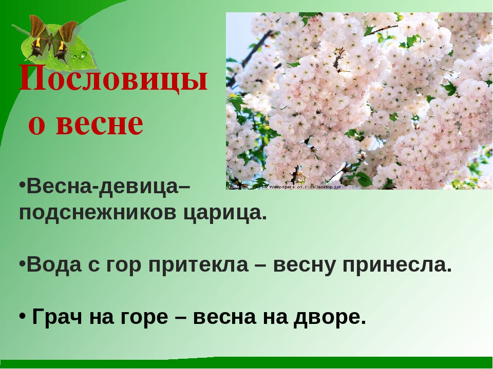 Красна весна цветами пословица: Пословица весна красна цветами, а осень снопами | Poslovic.ru