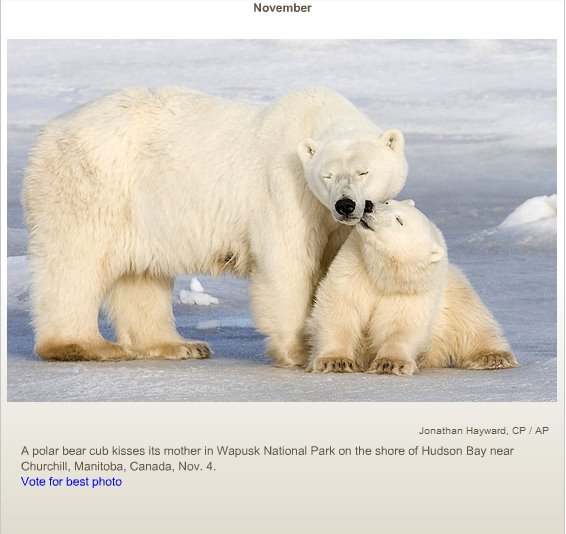 Колыбельная белая медведица: Колыбельная медведицы слушать онлайн и скачать