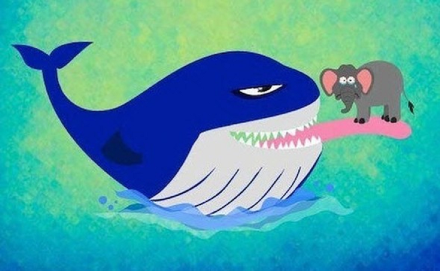 Смотреть онлайн мультик кит и кот: Кит и Кот - смотреть онлайн мультфильм бесплатно в хорошем качестве