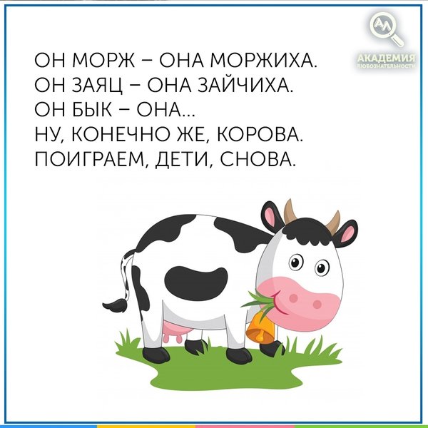 Смешные с подвохом стихи: Смешные и прикольные загадки с подвохом и с ответами