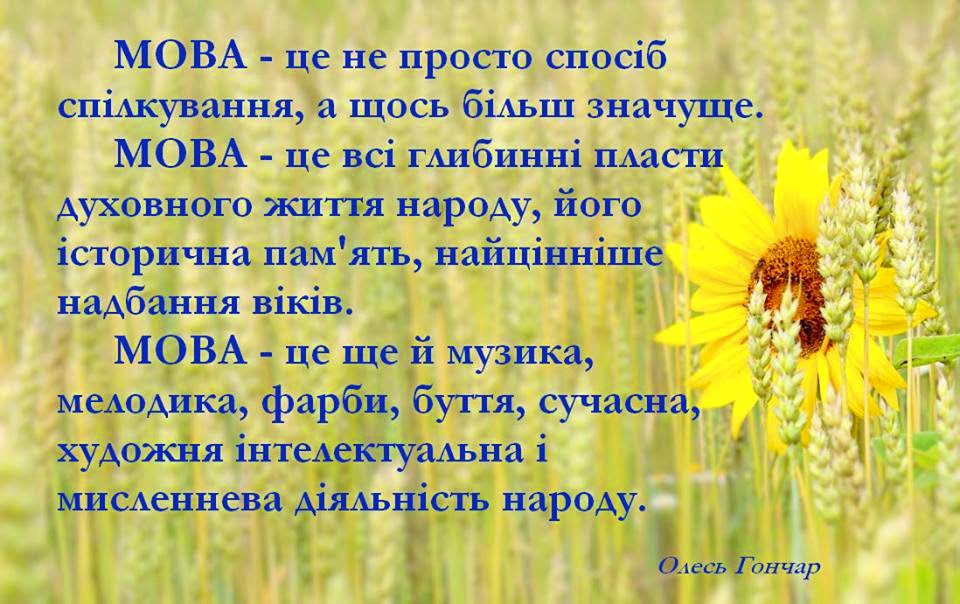 Вірші про школу на українській мові: Вірші про школу та клас. Вірші про шкільне життя