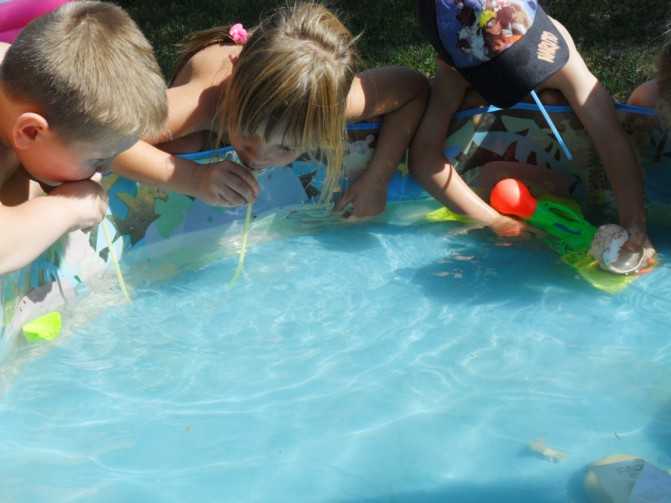 Игры подвижные на воде: Подвижные игры на воде | Материал по физкультуре на тему: