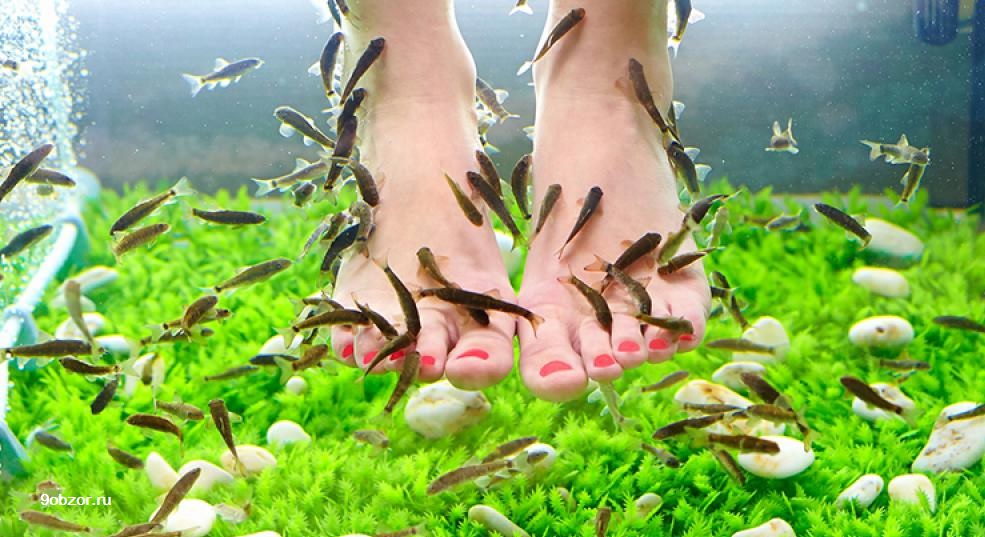 Массаж ног рыбки: В каких случаях рыбный массаж ног может быть опасен
