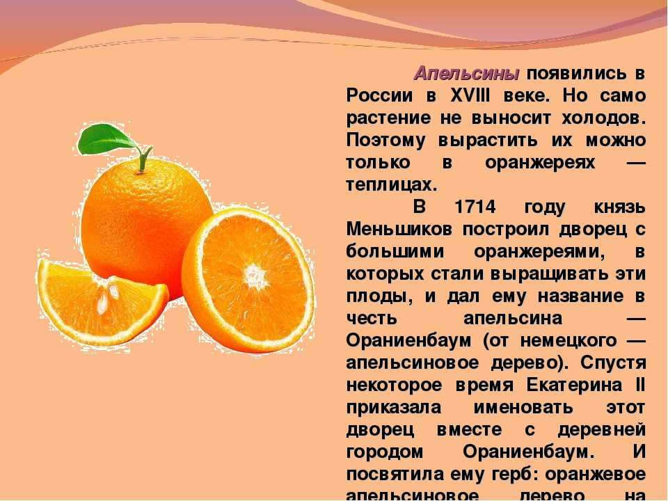 Текст песня про апельсин: Текст песни Есть у меня один