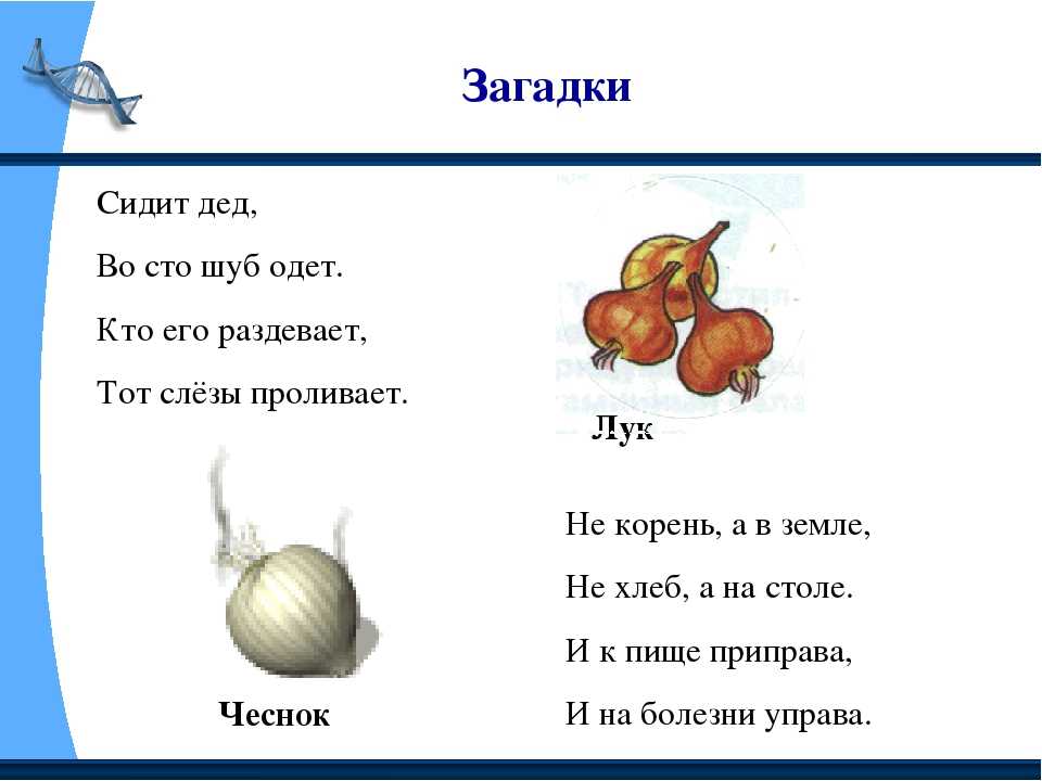 Короткие загадки для детей с ответами: Короткие загадки с ответами - 140 интересных загадок