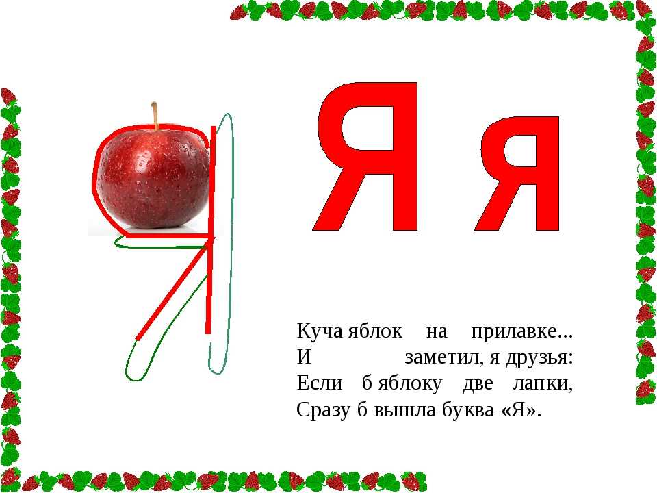 Загадки с ответом на букву с для детей: Загадки на букву С