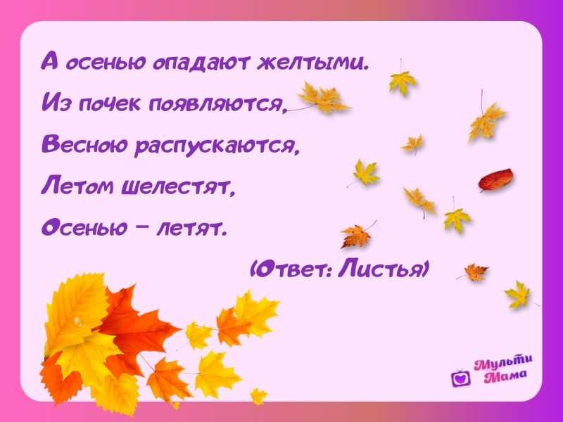 Загадка на отгадку листья: Загадки про листья - Загадки с ответами