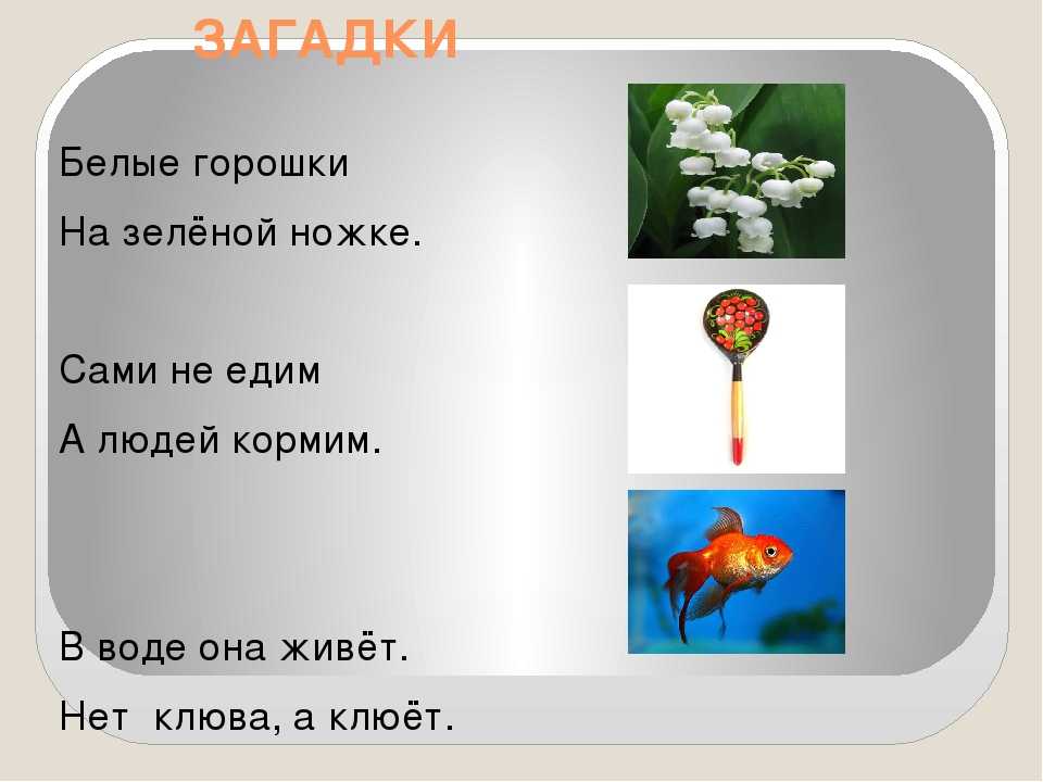 Белые горошки на зеленой ножке ответ на загадку: Ответы на кроссворды и сканворды онлайн