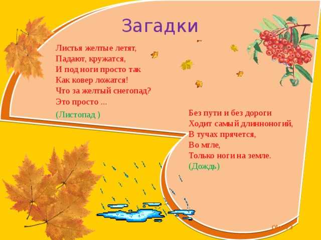 Загадки про листья с ответами для 3 класса: Загадки про листья для детей с ответами