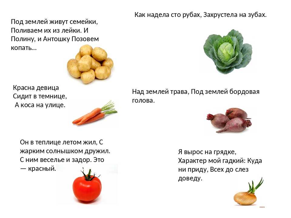 Загадки для детей о овощах и фруктах: Загадки про овощи и фрукты