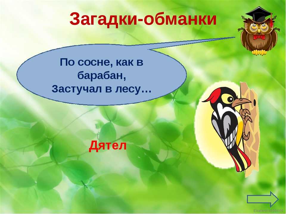 Загадки обманки для детей с ответами смешные: Загадки обманки для детей - 100 неожиданных ответов