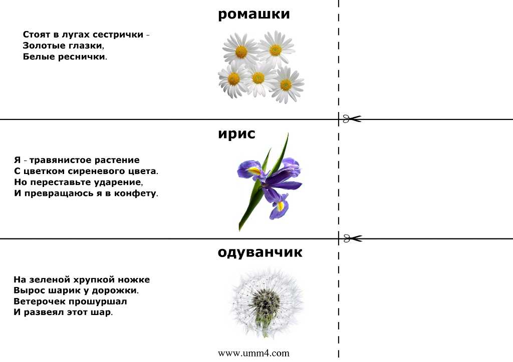 Загадки с ответами 11: Загадки для 11 лет с ответами: простые и логические