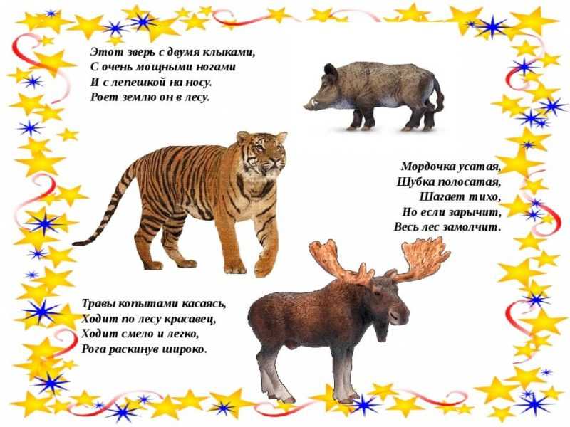 Загадки про животных с ответами для дошкольников: Загадки про животных с ответами