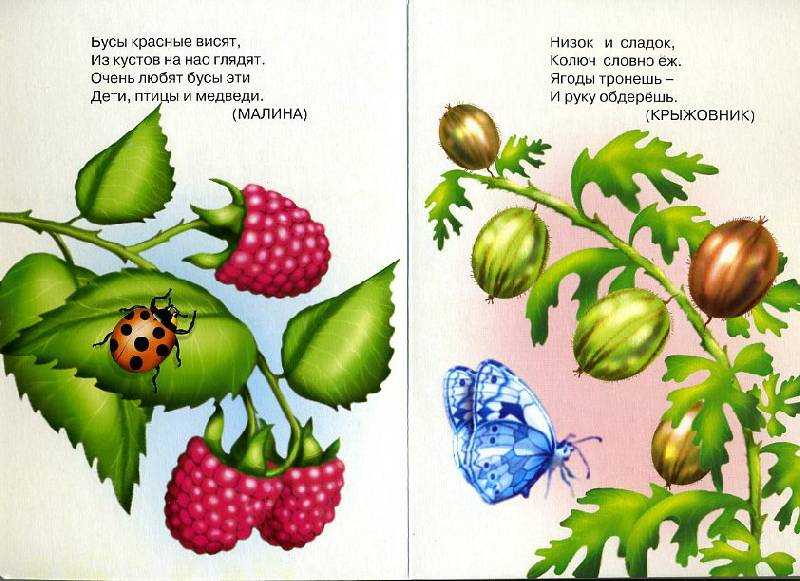 Сказки для детей про ягоды: Баба-Яга и ягоды - Русские сказки