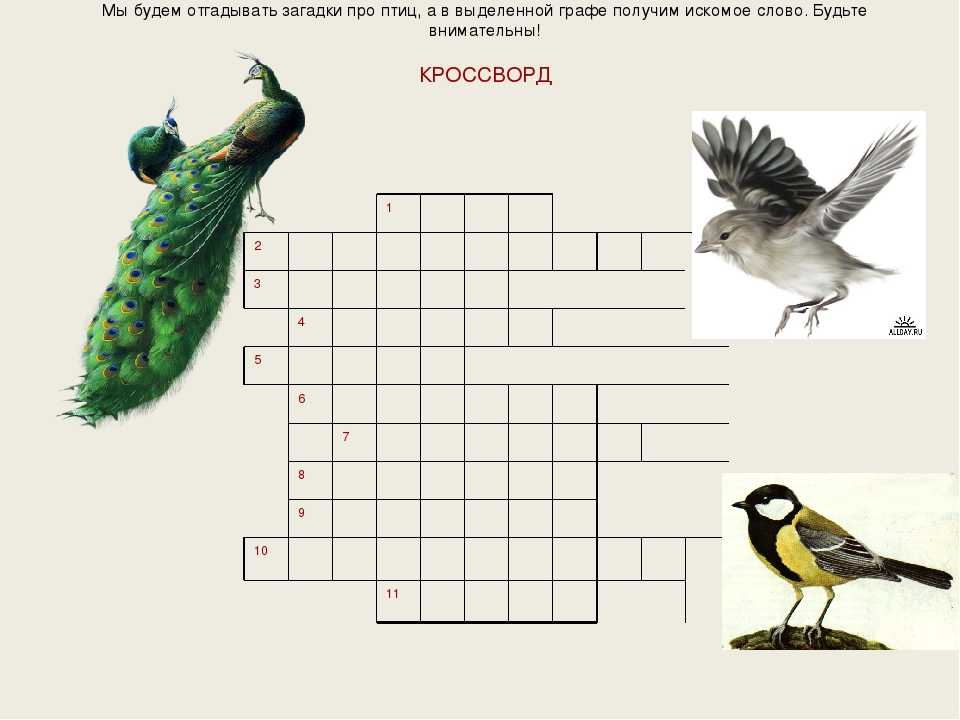Загадки про птиц: Загадки про птиц — загадки о птицах для детей с ответами