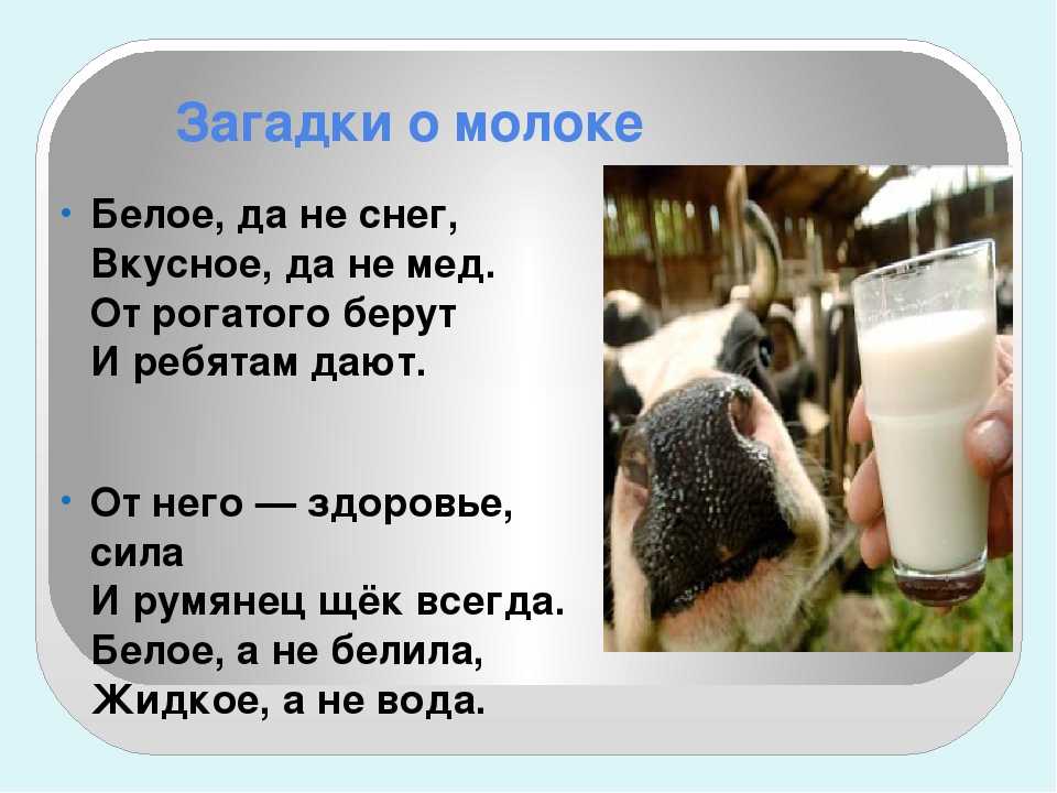 Загадки для детей про корову: Загадки про корову для детей с ответами