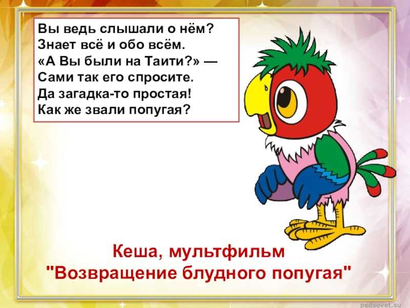 Загадки для детей про попугая: Загадки про попугая для детей