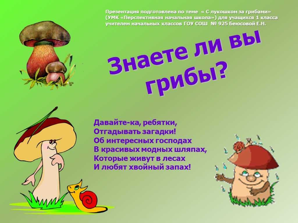 Загадки о грибах для дошкольников: 72 лучшие загадки про грибы для детей с ответами