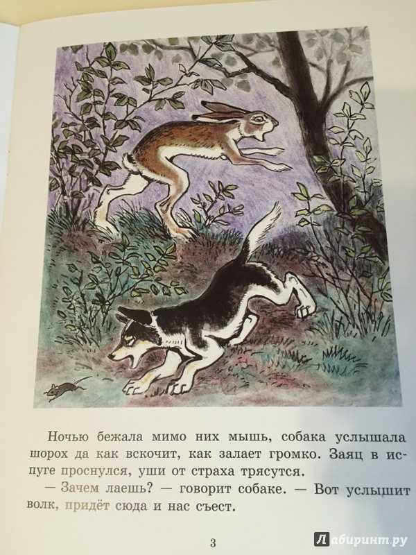 Волк и собака сказка: Сказка Собака и волк - читать онлайн