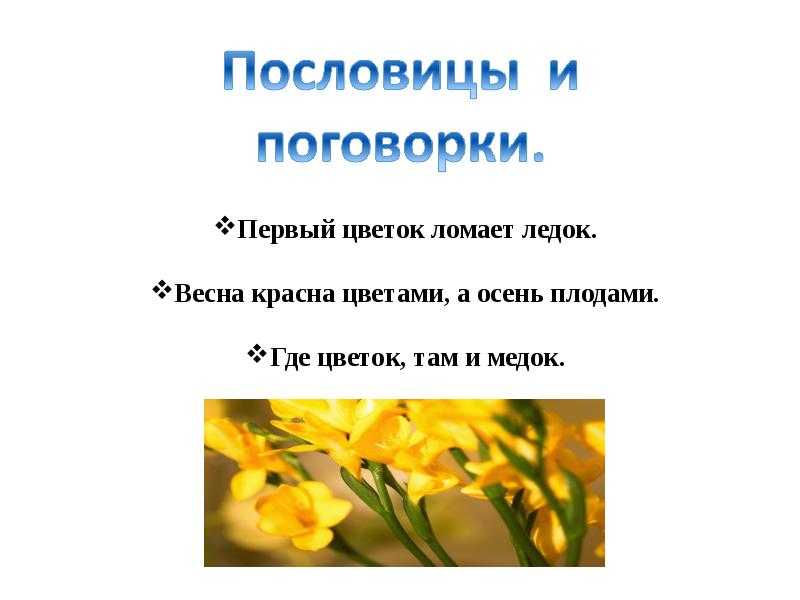 Красна весна цветами пословица: Пословица весна красна цветами, а осень снопами | Poslovic.ru