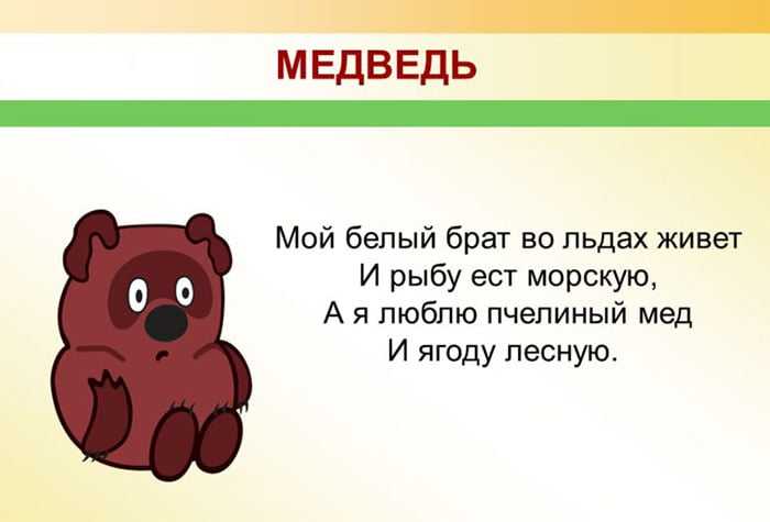 Загадки о медведе: Загадки про медведя с ответами