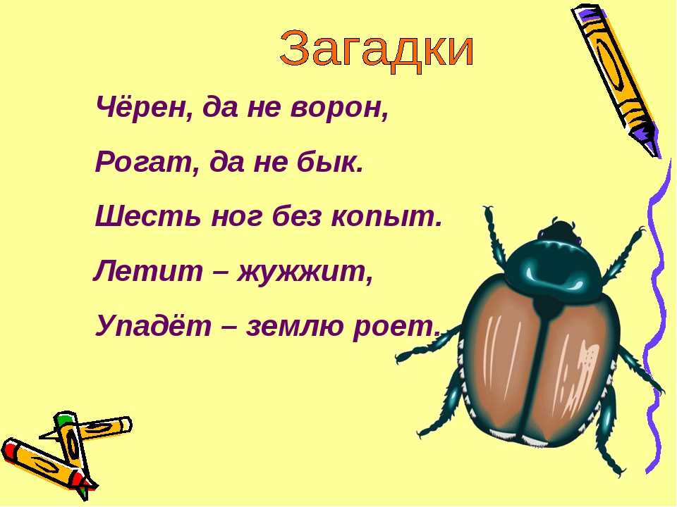 Загадка не жужжу когда сижу не жужжу когда хожу не жужжу когда тружусь: Не жужжу, когда сижу — загадка для детей с ответом