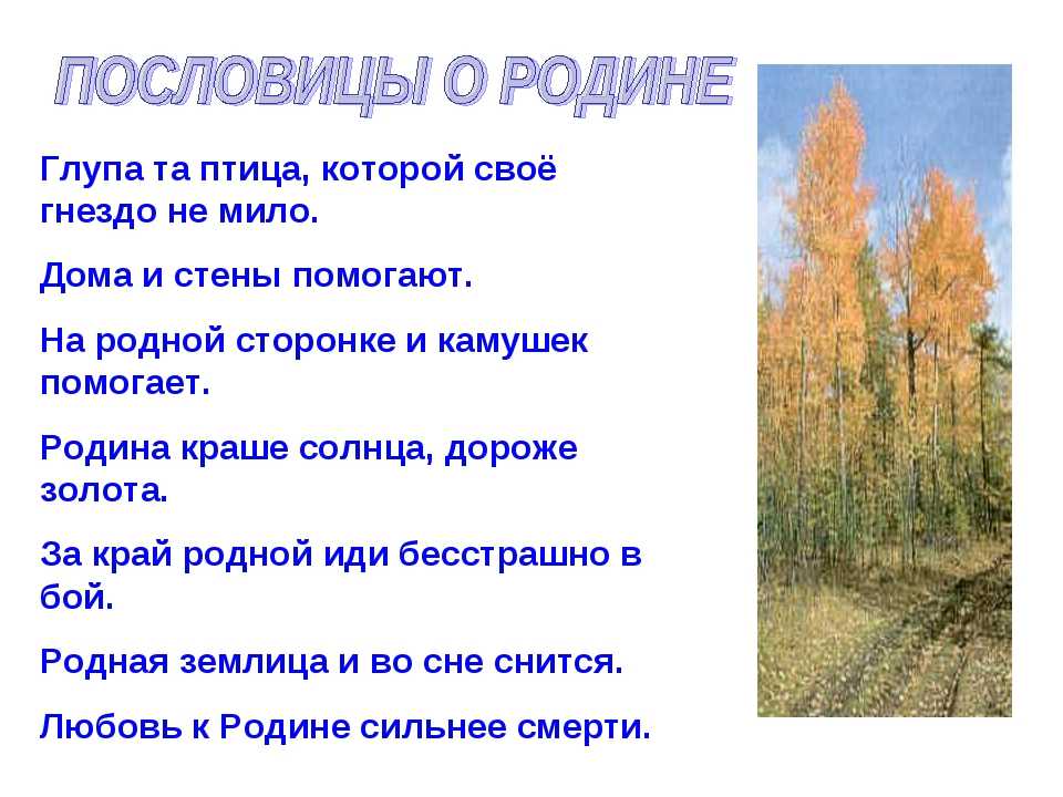 5 пословиц о любви к родине: Пословицы и поговорки о родине