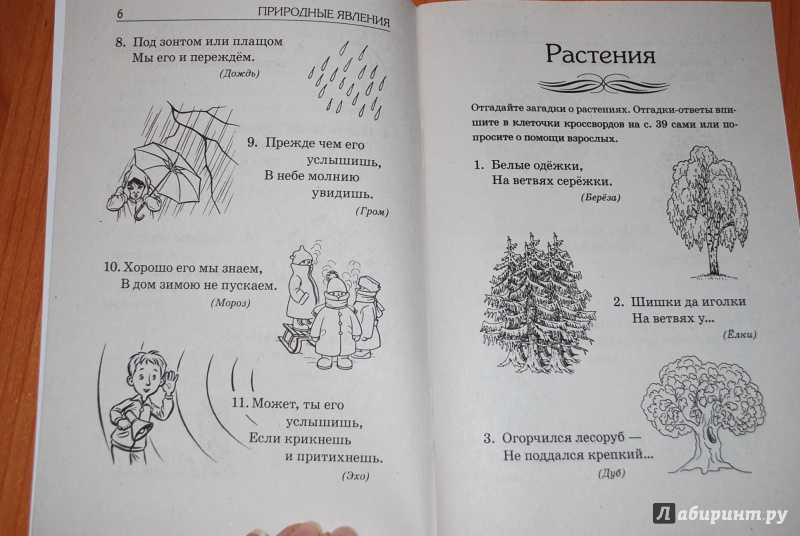 Загадки для детей 4 6 лет с ответами: Загадки для детей 5-6 лет
