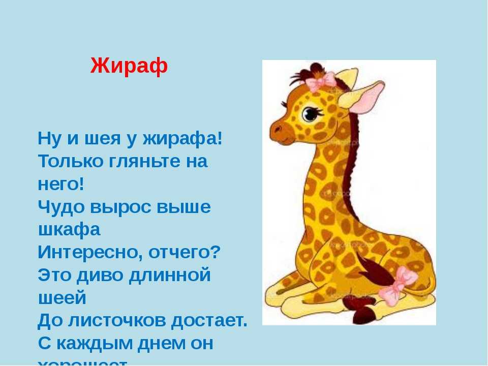 Жираф загадка: Загадки про жирафа с ответами