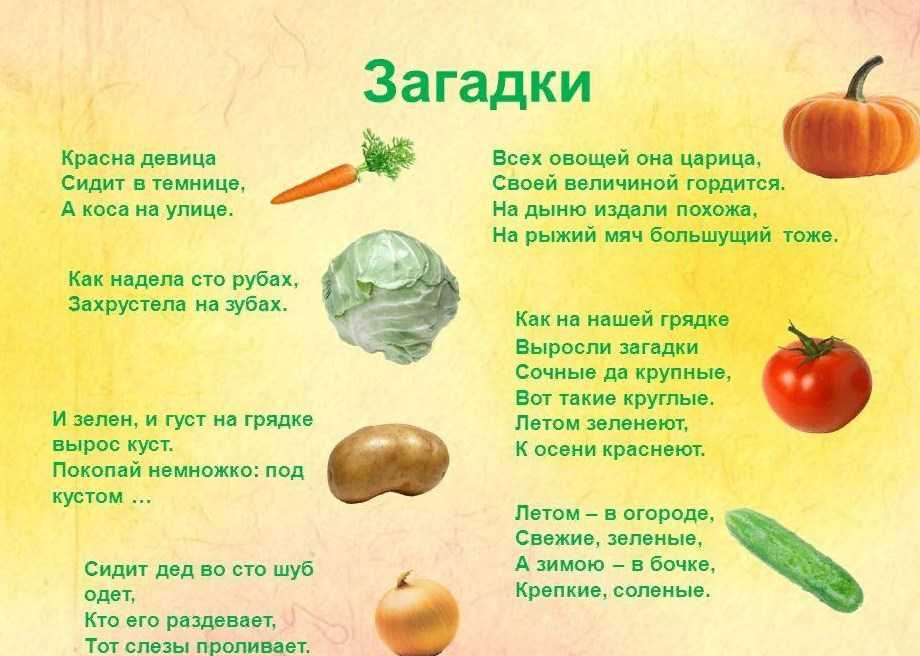 Загадки про овощи с ответами в рифму: Загадки про овощи и огород с ответом в рифму
