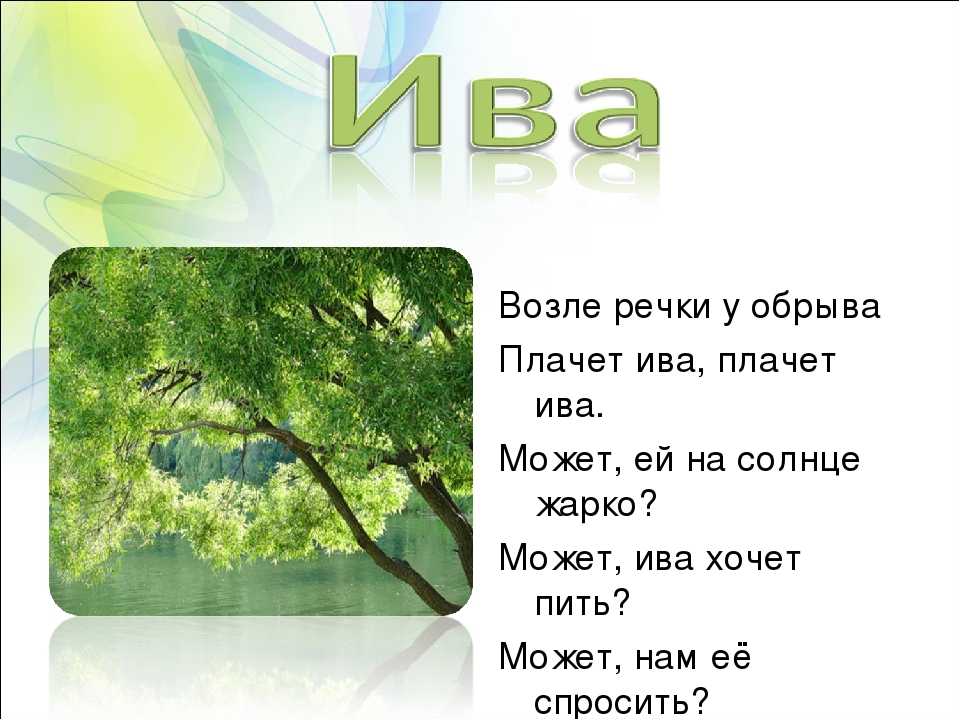 Загадка дерево для детей: Загадки про деревья с ответами