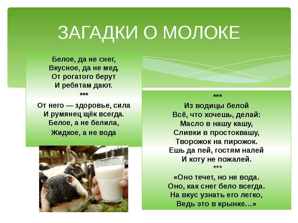 Загадки для детей про корову: Загадки про корову для детей с ответами