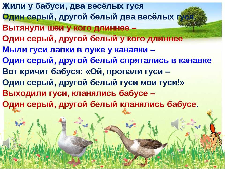 Два веселых гуся слушать: Песня Жили у бабуси два весёлых гуся слушать онлайн и скачать