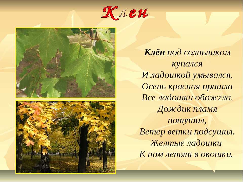 Детский стих про листопад: Стихи про листопад — Стихи, картинки и любовь