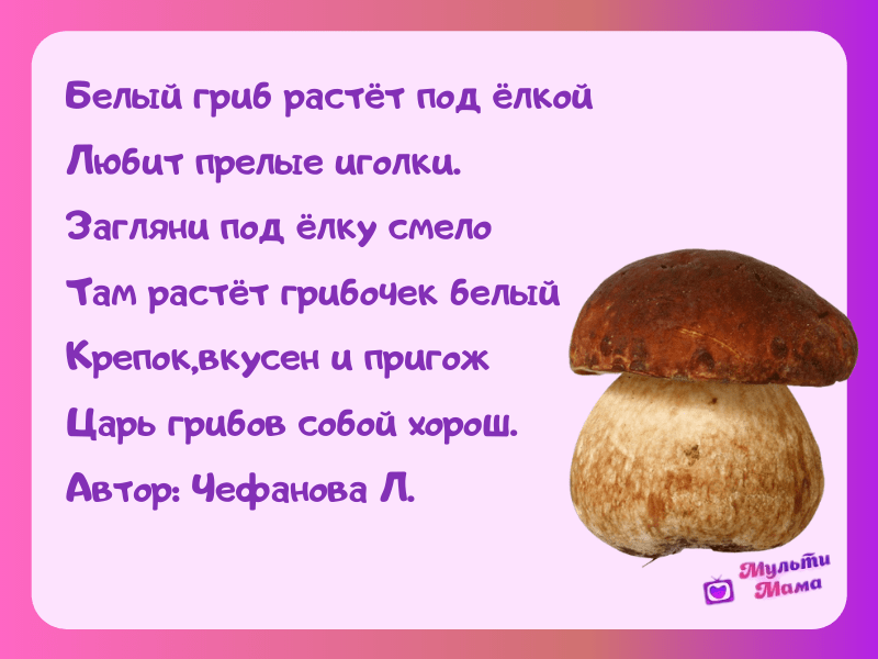 Загадки о грибах для дошкольников: 72 лучшие загадки про грибы для детей с ответами