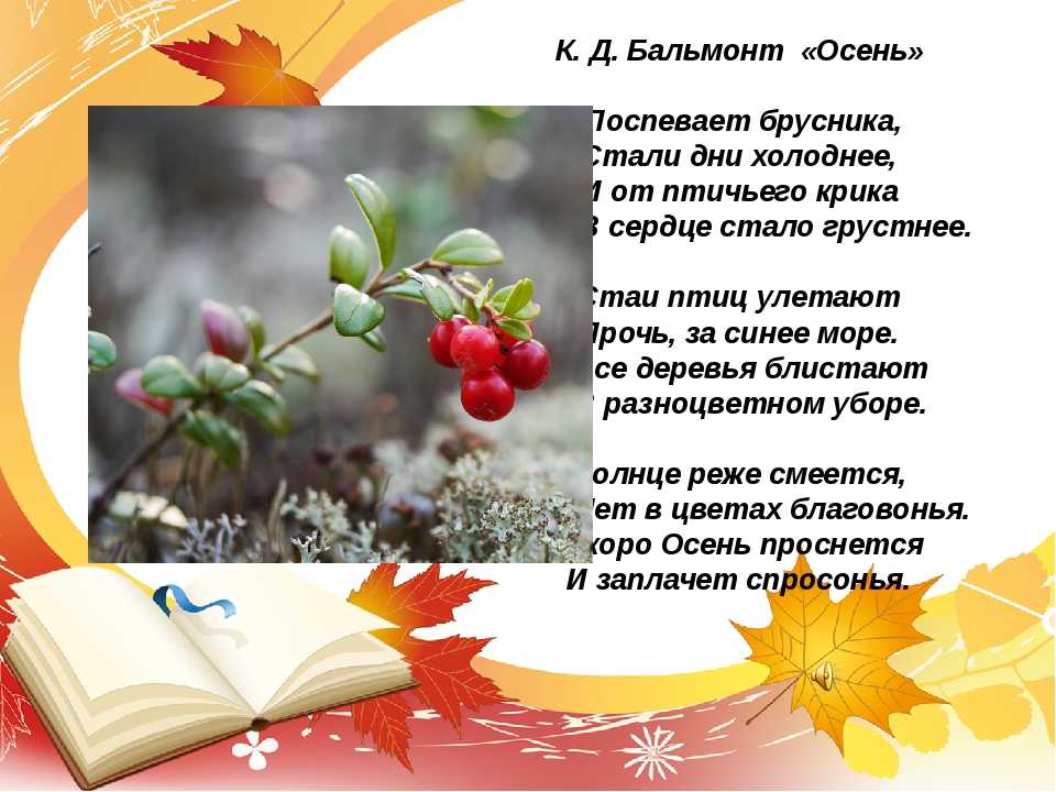 Стихи поспевает брусника стали дни холоднее: Осень («Поспевает брусника…») — Бальмонт. Полный текст стихотворения — Осень («Поспевает брусника…»)