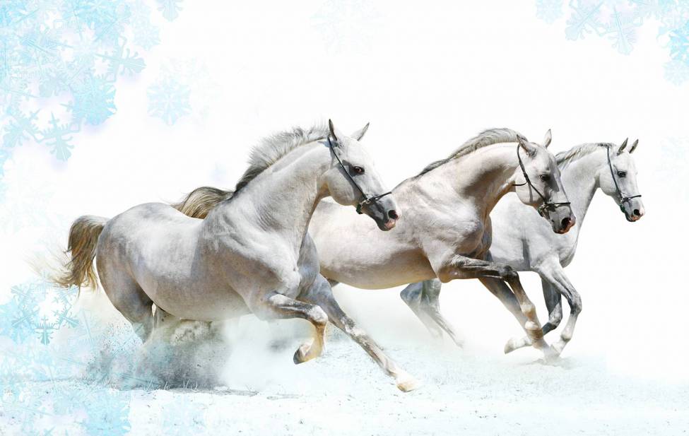 Эх три белых коня эх три белых коня: Песня Тройка (Три белых коня) слушать онлайн и скачать