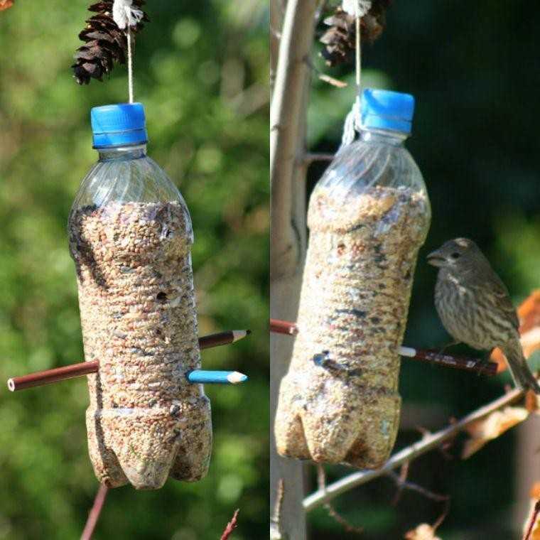 Кормушки для птиц из бутылки своими руками: идеи и советы по изготовлению.