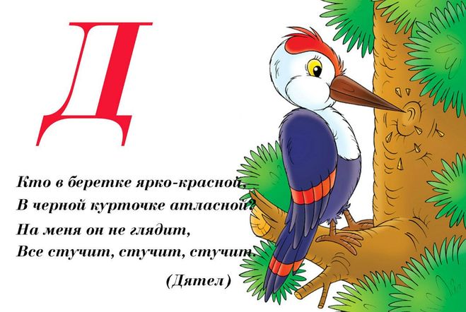 Загадка про букву в: Загадки про букву "В" (25 лучших загадок)