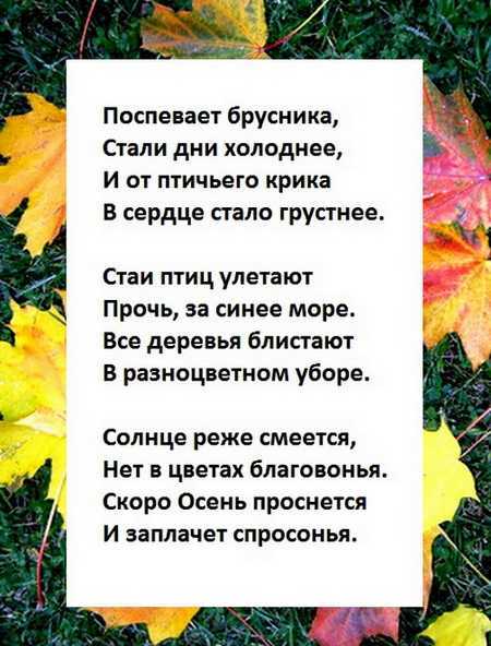 Стихи поспевает брусника стали дни холоднее: Осень («Поспевает брусника…») — Бальмонт. Полный текст стихотворения — Осень («Поспевает брусника…»)