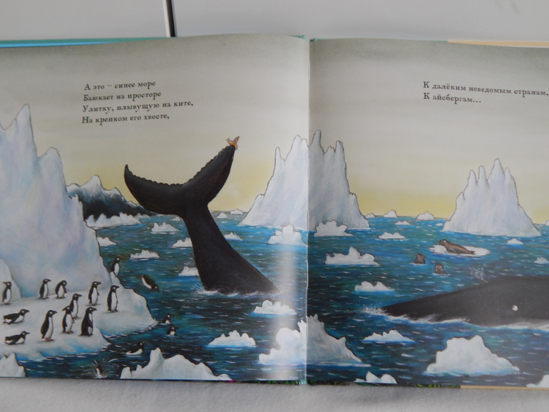 Загадка кит для детей: Загадки про кита с ответами