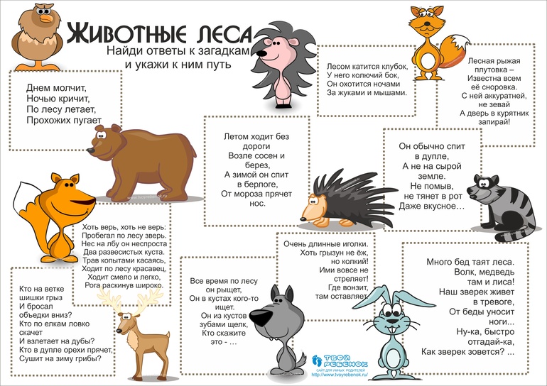 Загадки про животных 1 класс: Загадки про животных для 1 класса с ответами, короткие