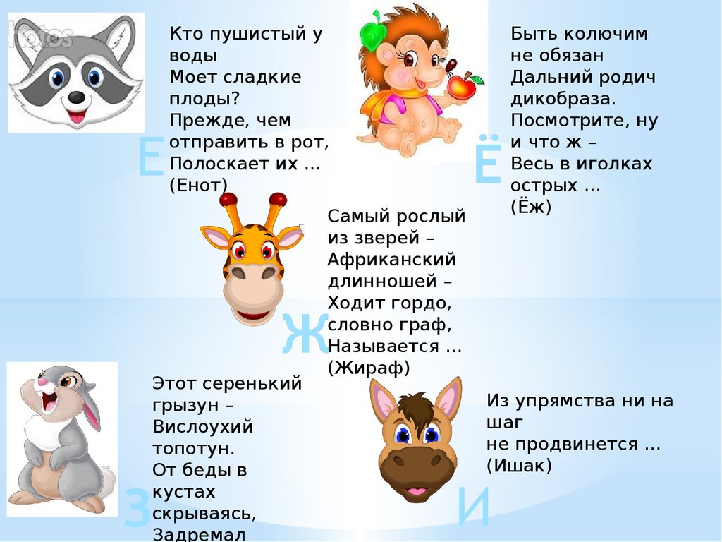 Загадки русские народные про животных с ответами: Карта сайта