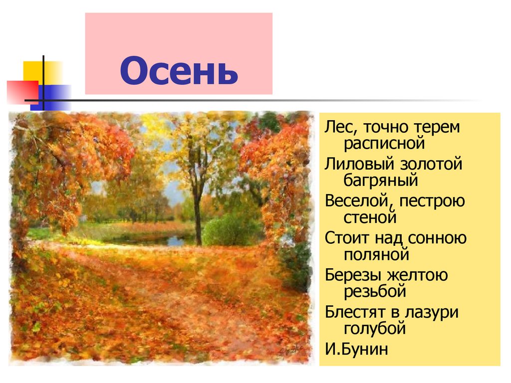 Загадки про осень сложные с ответами для 6 класса: Загадки Про осень с ответами