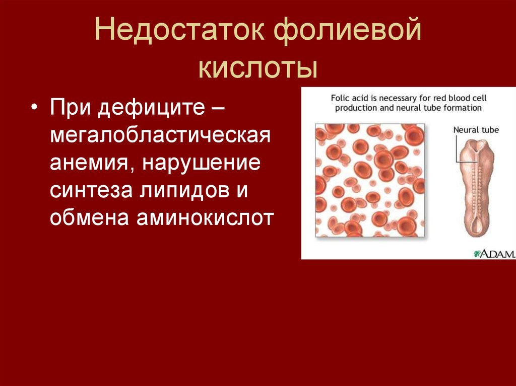 Фолиевая кислота недостаток: Фолиевая кислота – все, что вы должны знать