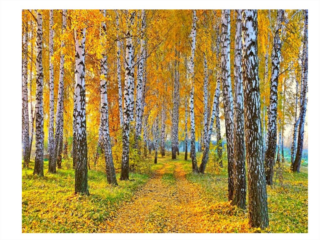 Пісня осінь тихо осінь ходить гаєм ліс довкола аж горить: Тихо осінь ходить гаєм. Ліс довкола аж горить. Ясен листя осипає, Дуб нахмурений стоїть. Осінні поробки, демонстрували наші дошкільнята на святі "Барви золотої осені".