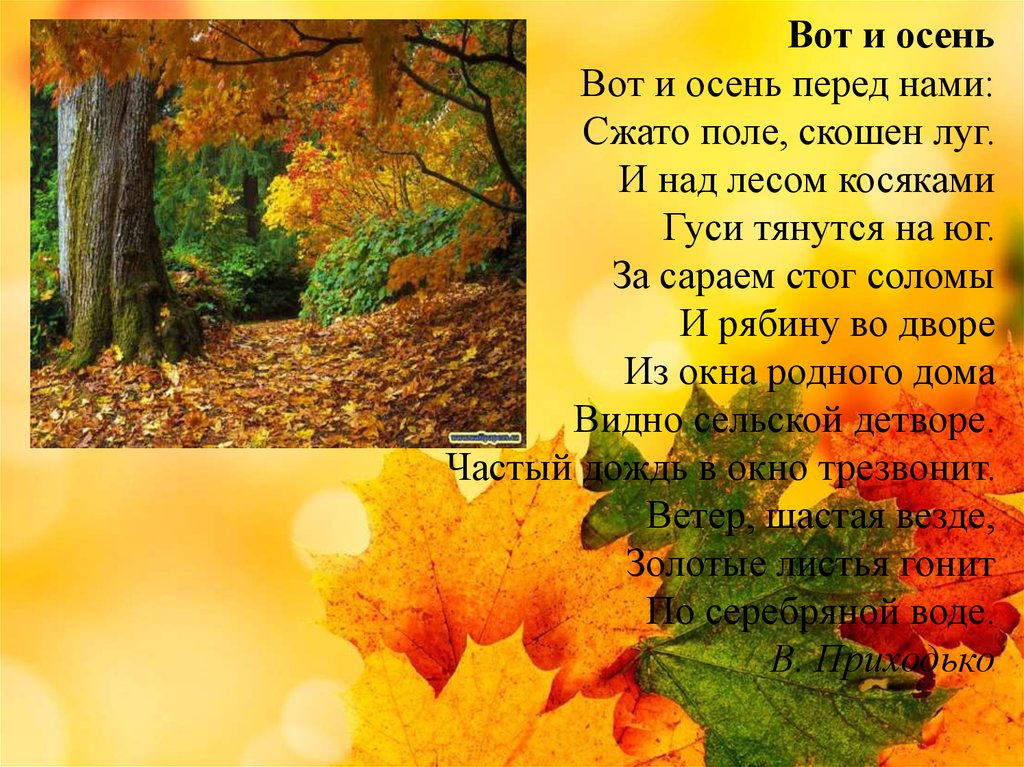 Стихи про осень для школьников 2 класса короткие: Стихи про осень для 2 класса