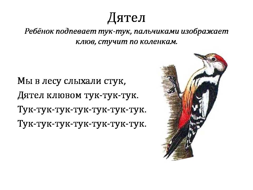 Загадки про дятла: Загадки про дятла