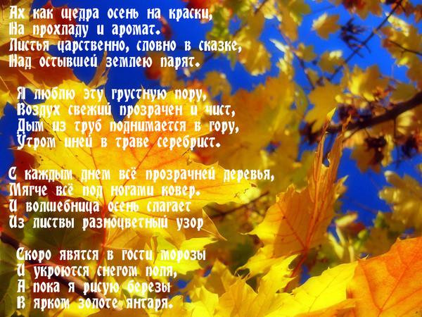Стихи про осень красивую осень: Красивые душевные стихи про осень современных поэтов